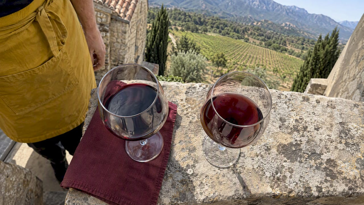 Two red wines compared on a winery terrace