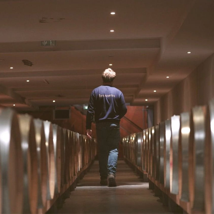 Moritz walking in Barrel room. 