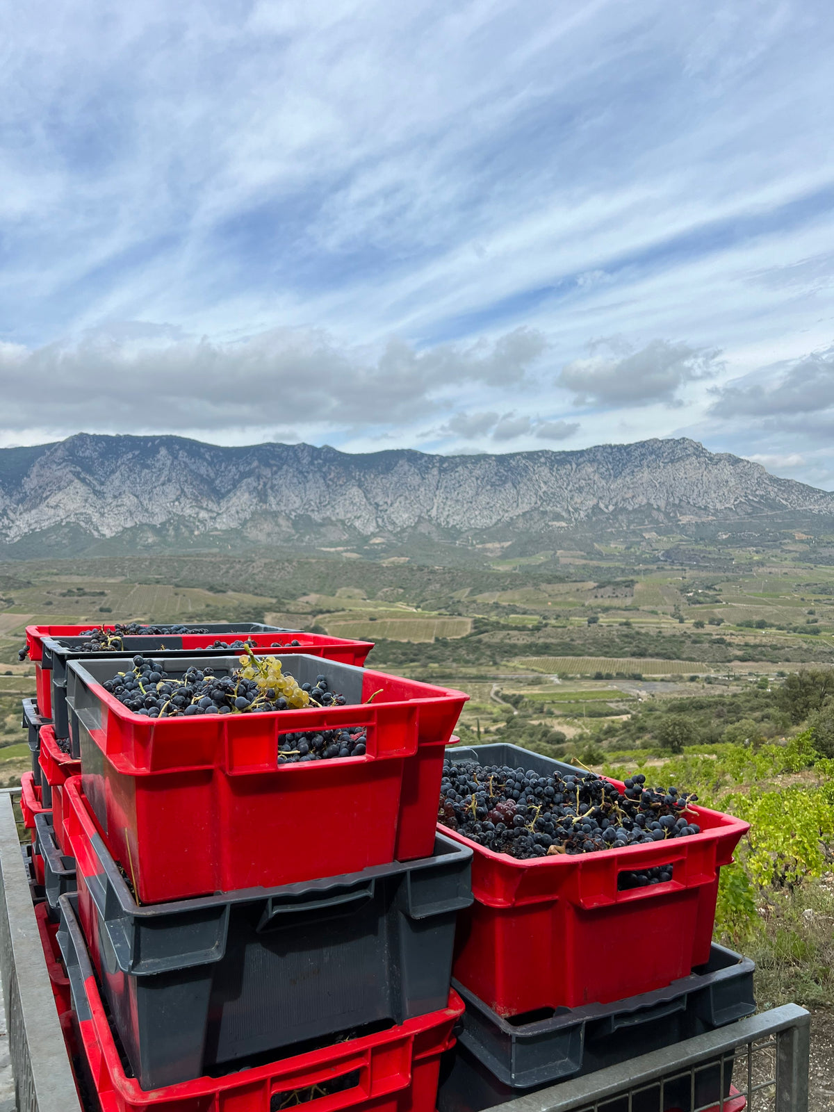 The Role of Weather and Climate in Roussillon Winemaking.