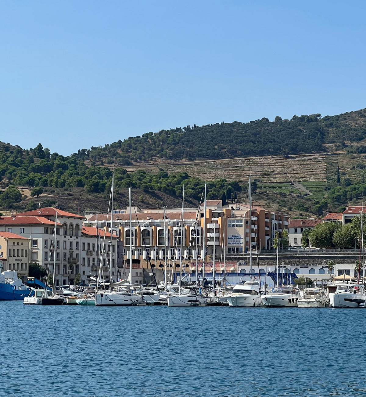 Boats moored at Port-Vendres harbour
