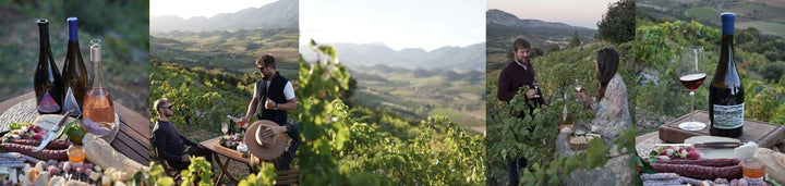 Lots of photos of eating food in the vineyards. 