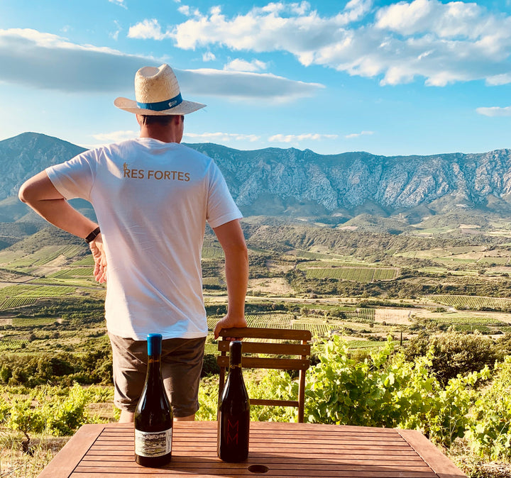 Moritz looking over the Brave Vineyard